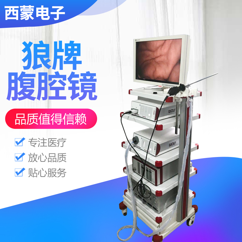 德国狼牌腹腔镜检查系统数字全高清微创摄像机手术室用厂家直发