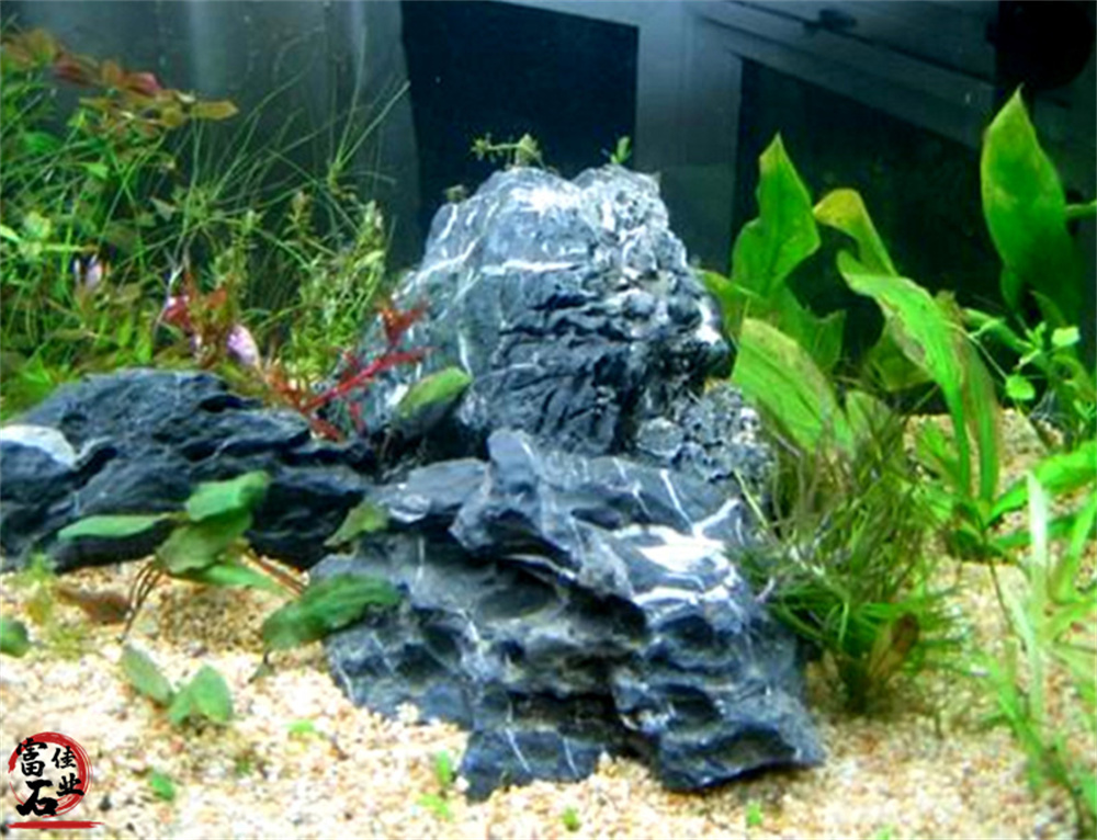 英德石青龙石批发 水族造景石青龙石 小型盆景造景石材