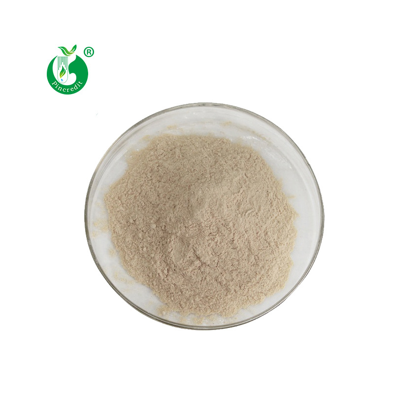 【角叉菜粉】热风干燥角叉菜粉食用食品级鹿角菜粉脱水角叉菜全粉