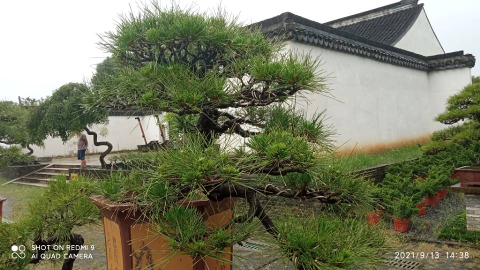 十堰滩涂淤泥原位固化 十堰泥浆固化剂销售高标准农田建设