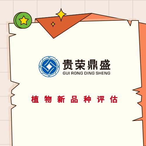 达州市版权价值评估知识产权评估专利和软著评估商标价值评估