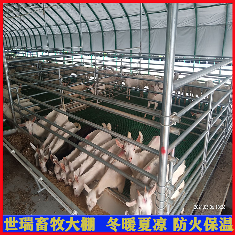 搭建养羊大棚 肉羊养殖大棚建设 钢架羊舍大棚安装设计