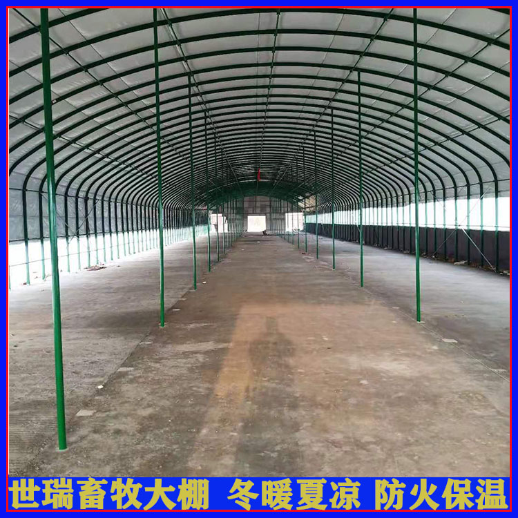 建设养牛大棚价格 牛舍大棚施工规划 肉牛养殖棚安装材料