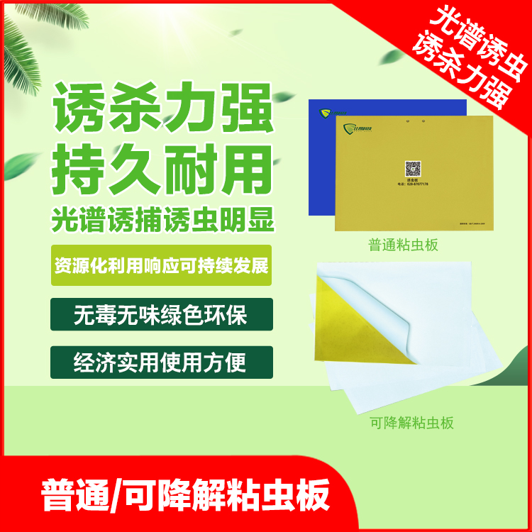 比昂黄板粘虫板杀小黑虫粘蚜虫